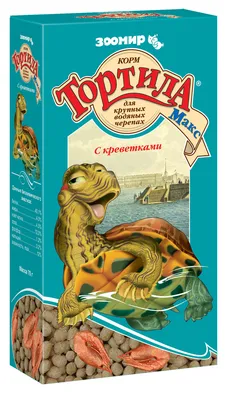 Брошь Черепаха Тортила — Артбегемот — Русские сувениры из латуни и янтаря
