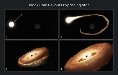 Сверхмассивная чёрная дыра поглотила звезду втрое больше Солнца и выплюнула  остатки