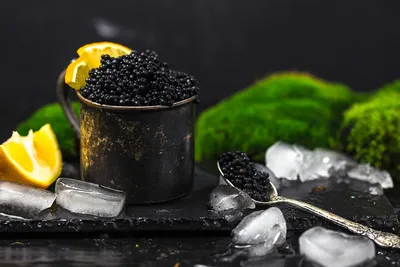 Так ли полезна черная икра? | Caviar-Ukraine