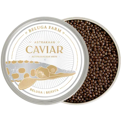 Икра черная стерляди Caviar Astrakhan 50 гр стеклянная банка купить по  выгодной цене в СПб