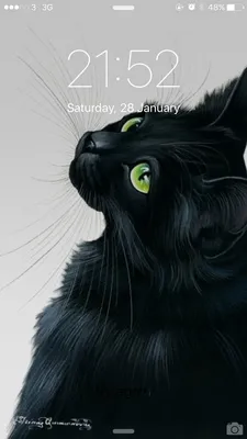 Черная кошка картинки нарисованные
