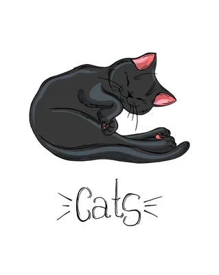 Черная кошка Котенок Рождественская елка, Черная кошка иллюстрация,  нарисованные, животные, черные волосы png | Klipartz