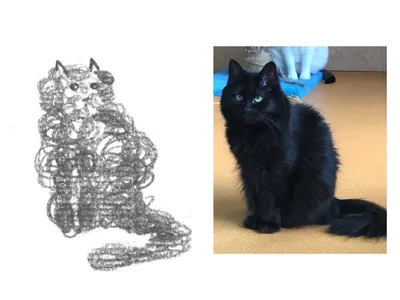 Китти, нарисованная кошка, черная кошка png | PNGEgg