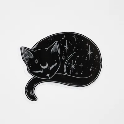 Эскиз нарисованный рукой кота Черная линия чертеж изолированный на белой  предпосылке Пушистый маленький любимчик Милый меховой си Иллюстрация  вектора - иллюстрации насчитывающей котенок, черный: 119010067