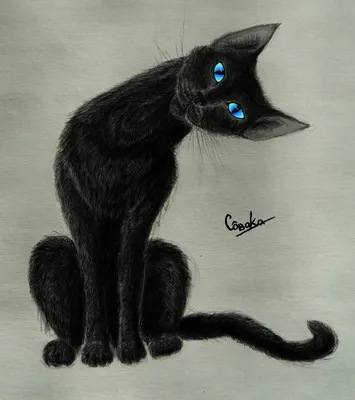 черная кошка черно-белая кошачья гладкая фигура симпатичная векторная  фоновая фоновая хэллоуина осенью Иллюстрация штока - иллюстрации  насчитывающей фантазия, праздник: 231546374