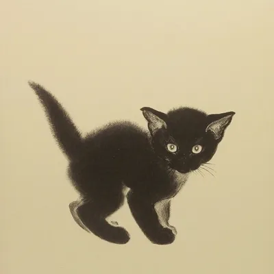 Кошки - Черно-белые - Галерея