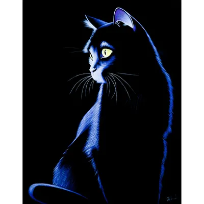 Черная кошка - происхождение, породы, суеверия | Мир домашних животных |  Дзен