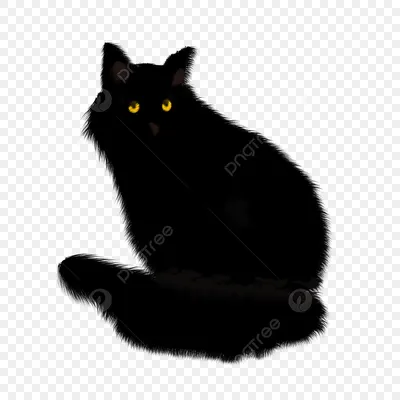 Фотообои Черная кошка», (арт. 1247) - купить в интернет-магазине Chameleon