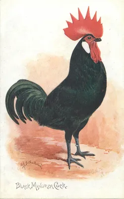 Иллюстрация к повести черная курица (49 фото) » Рисунки для срисовки и не  только