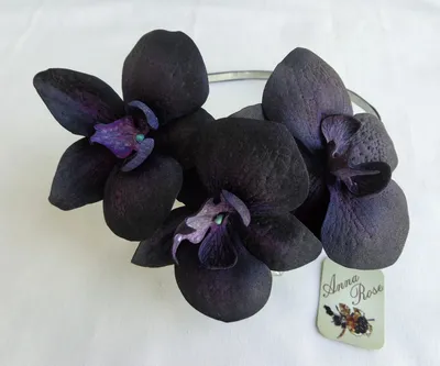 Черная орхидея - AMRITAROMA