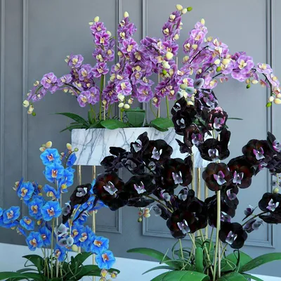 Смотреть фильм Черная орхидея онлайн бесплатно в хорошем качестве