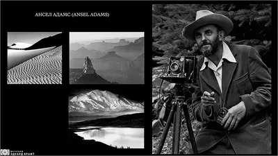 Как сделать черно-белое фото с ЦВЕТНЫМ объектом в Snapseed - Уроки  мобильной фотографии | Блог Comfy