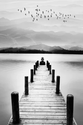 Черно-белые фото, которые полны жизни и эмоций | PhotoWebExpo | Дзен