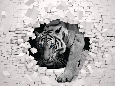 Фотообои Тигр черно-белый 3D купить в Москве, Арт. 10-991 в  интернет-магазине, цены в Мастерфресок