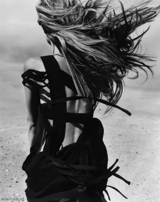 Сдержанный портрет стройной здоровой женщины на черном фоне с туманом и  светом со спины, кривая сексуальной позы с короткими штанами и тенью, черно-белая  концепция | Премиум Фото