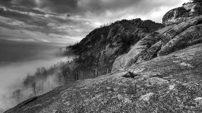 Скачать 1920x1080 горы, скалы, деревья, туман, черно-белые обои, картинки