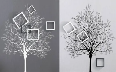 дерево, деревья, чёрно-белое, дерево, деревья, чёрно-белое png | PNGWing