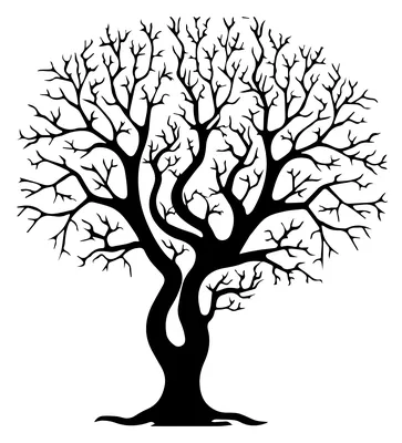 Черно-белая веточка дерева, Картина Растения, Дерево, Черно-белая,  Акварельная живопись, белый, ветка дерева png | PNGWing