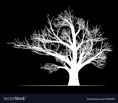 Ветка ствола дерева кора, черно-белое дерево татуировки, лист, монохромный,  завод Стебель png | PNGWing