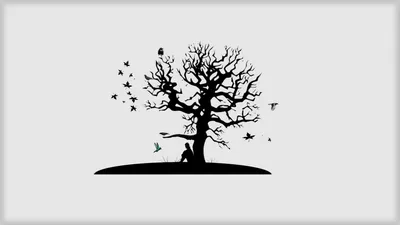 Ветви дерева черно-белые стоковое изображение. изображение насчитывающей  черный - 128119653