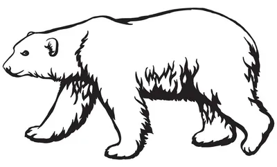 белый полярный медведь. черно-белый узор для лазерной гравировки талисмана  для печати или вышивки. Иллюстрация вектора - иллюстрации насчитывающей  хищник, сильно: 227694926