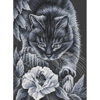Набор для вышивки крестиком с черно-белыми влюбленными кошками 14ct 11ct,  предварительно отпечатанный холст, вышивка крестиком с животными, рукоделие  «сделай сам» | AliExpress