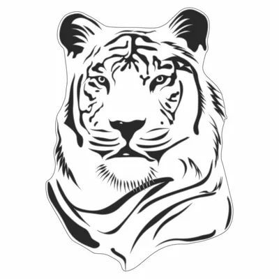 Тигр черно белый рисунок - 76 фото