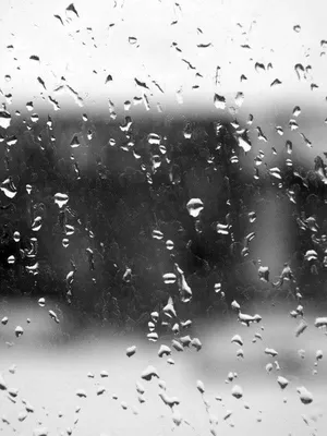 Грустная картина, дождь, черно-белый…» — создано в Шедевруме