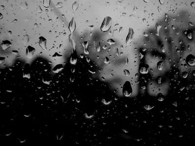 Черно белый дождь - 75 фото
