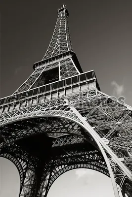 Картина на полотне Черно-белое фото Эйфелевой башни № s11109 в  ART-holst.com.ua