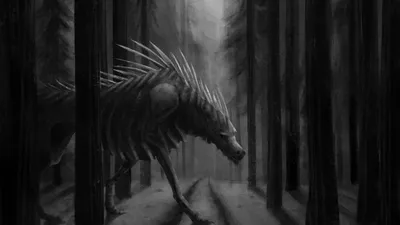 digital painting :: digital art :: красивые картинки :: арт барышня (арт  девушка, art барышня) :: черно-белое (ЧБ, ч/б, черно-белое, черно белое) ::  арт :: фэнтези :: арбалет / картинки, гифки, прикольные