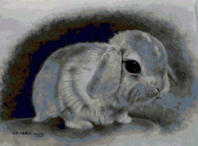 Фигура декоративная Кролик черно-белый, символ года HITSAD U09089-WBL -  купить по выгодной цене в интернет-магазине OZON (783824664)