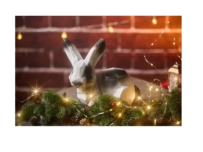Домашний кролик Белый кролик Европейский кролик Лепориды Черный и белый,  Черный и белый пятнистый кролик, белый, животные, черные волосы png |  PNGWing