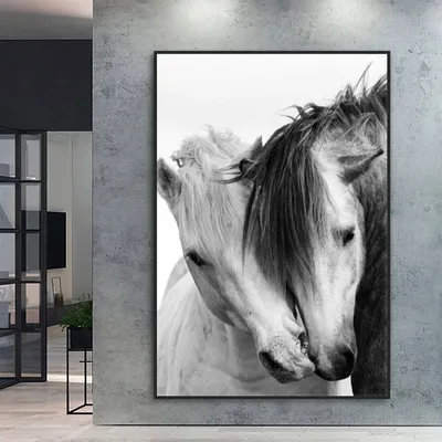 Две черно-белые лошади Векторное изображение ©insima 26141035