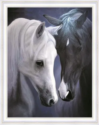 Алмазная мозаика на подрамнике 40*50 Алмазная живопись Картина стразами  Чёрно - белые лошади. - купить с доставкой по выгодным ценам в  интернет-магазине OZON (745798550)