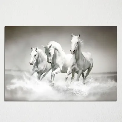 Коллаж из 6 постеров с паспарту черно-белый 21х30 см \"Лошади ретро фото №4\"  - купить за 10990 руб в интернет-магазине DG-Home