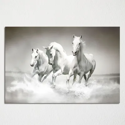 Картина \"Черно-белое фото лошади \" | Интернет-магазин картин \"АртФактор\"