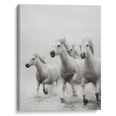 Мустанг Американский Квартал Лошадь Белый Черный, Схема для печати лошади,  лошадь, белый, млекопитающее png | Klipartz
