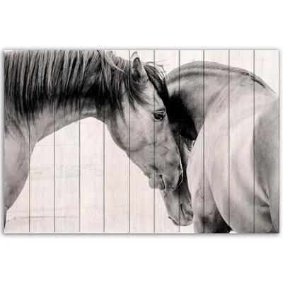 Черно-белые Лошади, Кормящие Траву На Ферме Фотография, картинки,  изображения и сток-фотография без роялти. Image 44129750