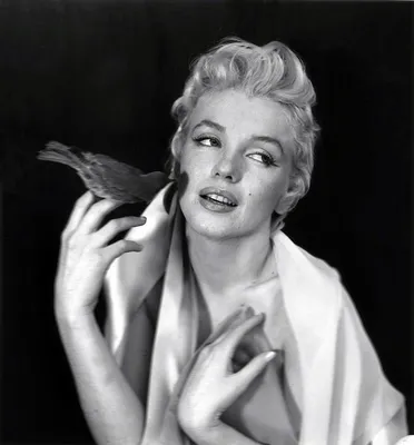 Серия черно-белых фотографии с Мэрилин Монро (Marilyn Monroe). Нью-Йорк,  1956 год. | Пикабу