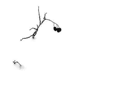 Черно-белый силуэт, минимализм» — создано в Шедевруме