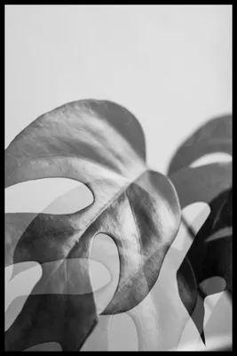 Черно-белые фотографии для интерьера, Корабли Триптих три Фотокартины  купить в интернет-магазине Ярмарка Мастеров по цене 3900 ₽ – HNG6FRU |  Фотокартины, Москва - доставка по России