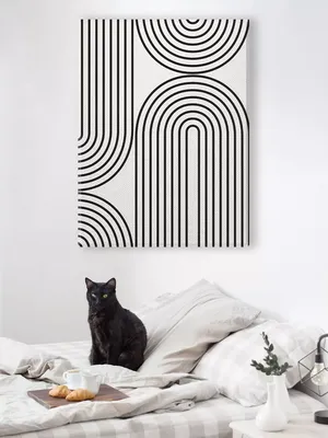 Постер 4768 \"Черно-белые перья\" на стену – фото в интерьере | Купить, цена