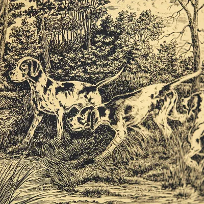 зимняя охота с собакой иллюстрация вектора. иллюстрации насчитывающей тайга  - 222914666