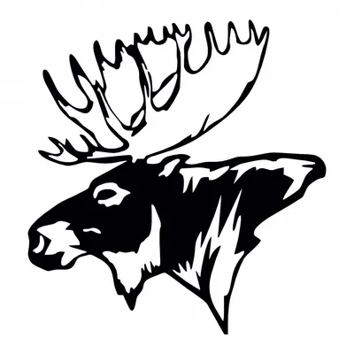 Охота на оленя, животные, филиал, логотип png | PNGWing