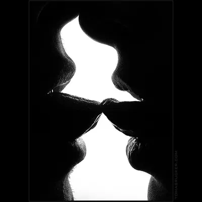 ᐉ Картина модульная Черно-белый Поцелуй Влюбленные 5 125х70 см