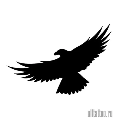 Черно-белые птицы стоковое фото. изображение насчитывающей сорока - 92248672