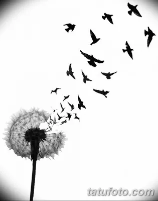 Черно-белый рисунок птицы, птица, животные, ветка png | PNGEgg