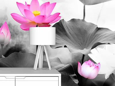 Как сделать черно-белое фото с ЦВЕТНЫМ объектом в Snapseed - Уроки  мобильной фотографии | Блог Comfy