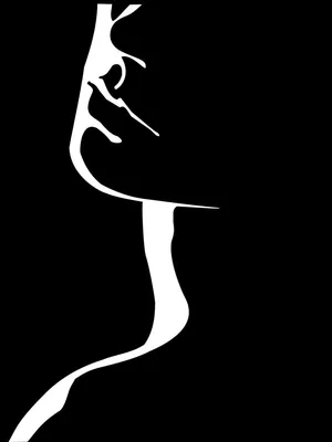 Купить Черно-белые силуэты девушек, принты на холсте, плакаты в  скандинавском стиле, диффузные фотографии танцующих девушек для декора  гостиной HD0069 | Joom